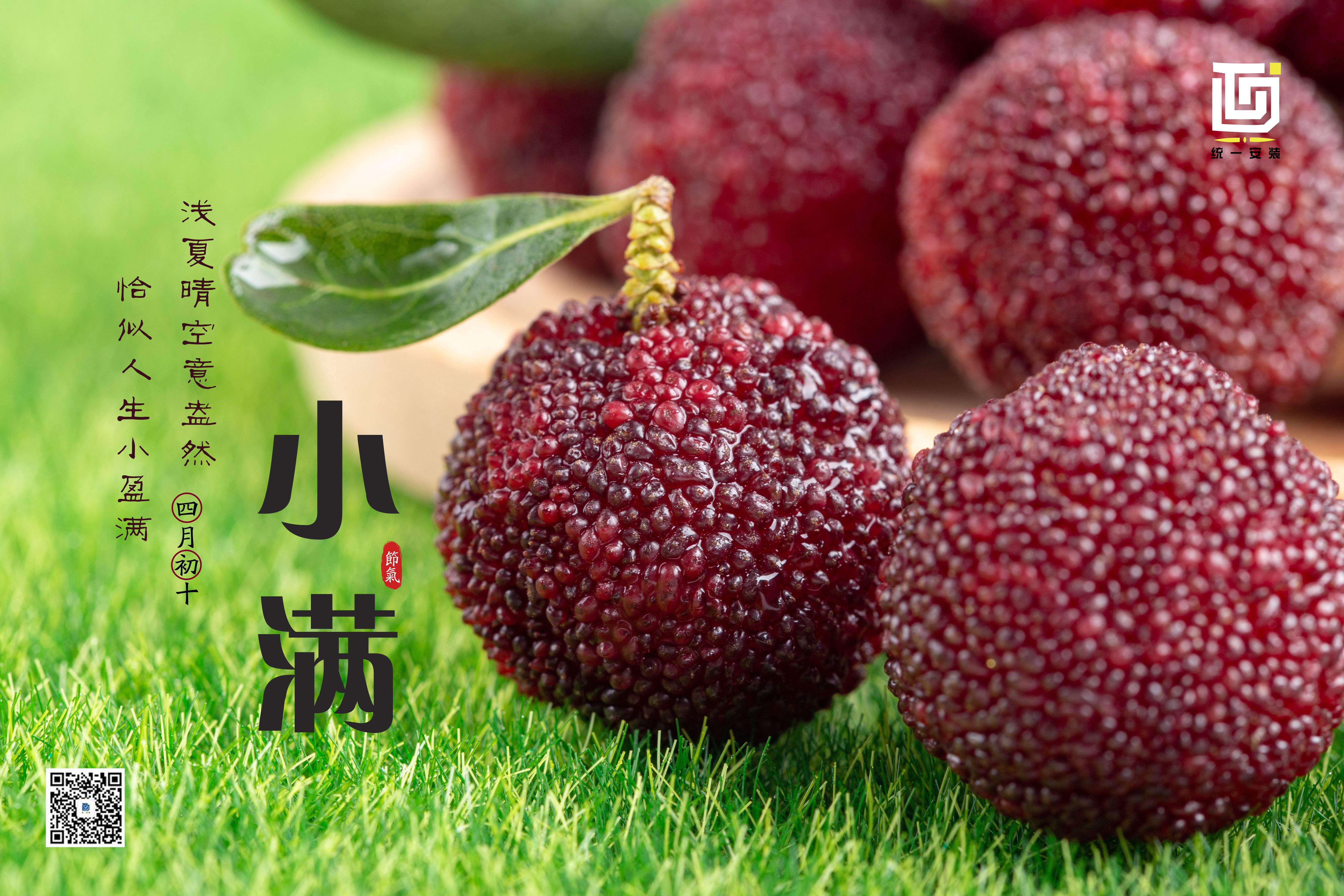 小满 | 浅夏晴空意盎然，恰似人生小盈满